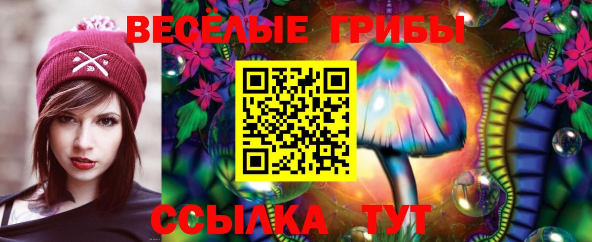 Галлюциногенные грибы Psilocybine cubensis Киров